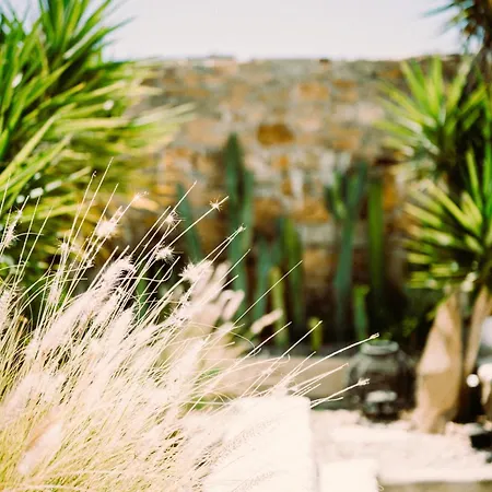 Sea Side & Aparthotel 2*